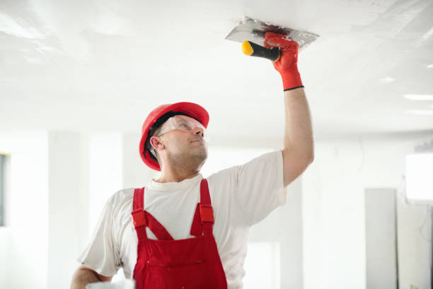 Best Wallpaper Removal and Painting  in Southlake, TX